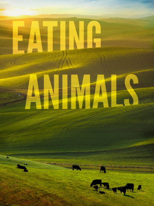 Eating Animals