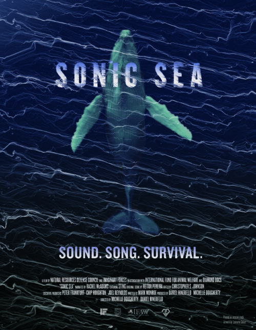 Sonic Sea