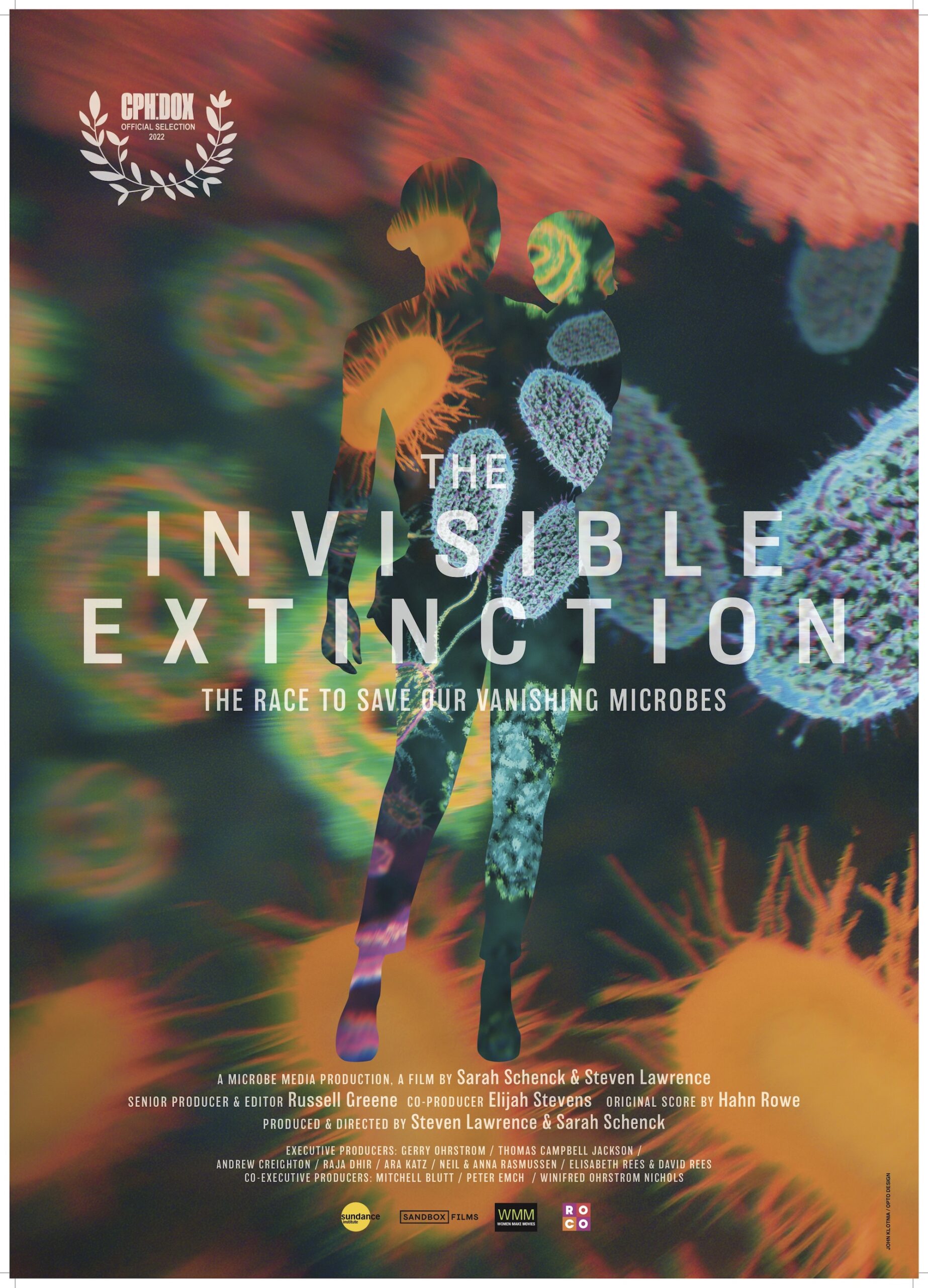 The Invisible Extinction